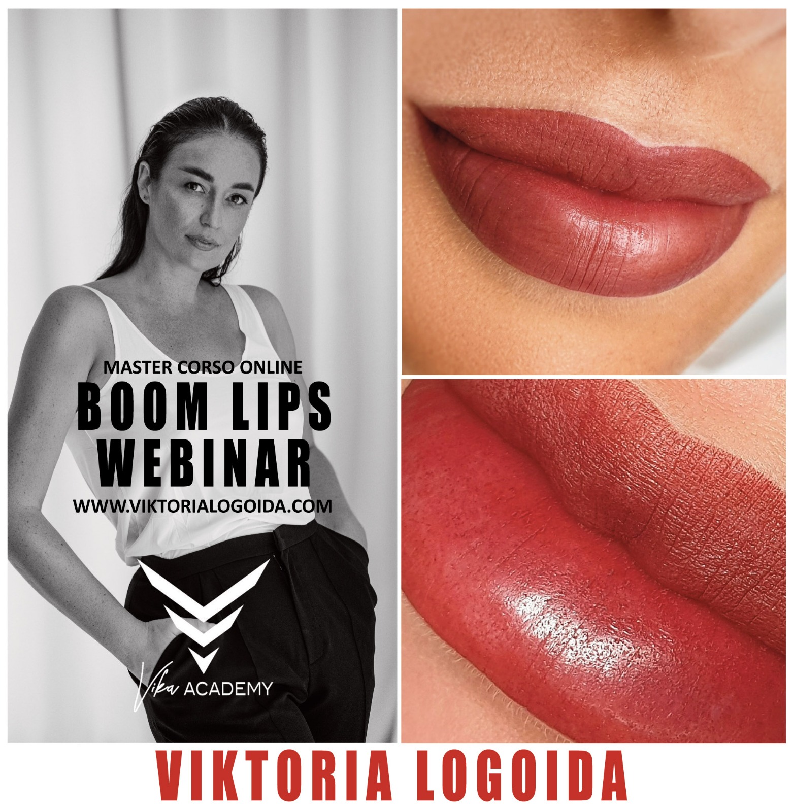 webinar-online-viktoria-logoida