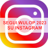 Instagram-Icon-hover