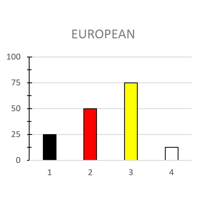 EUROPEAN - immagine 2