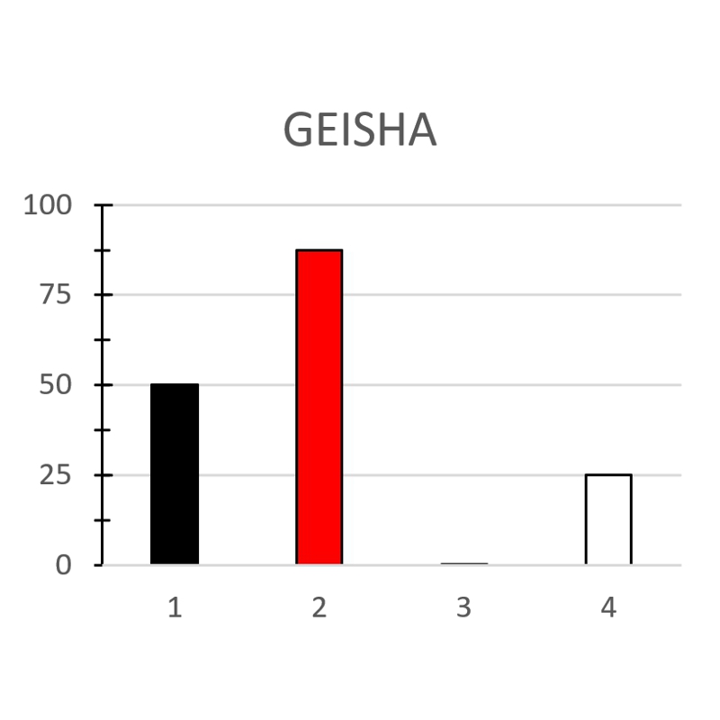 GEISHA - immagine 2