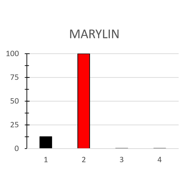 MARYLIN - immagine 2