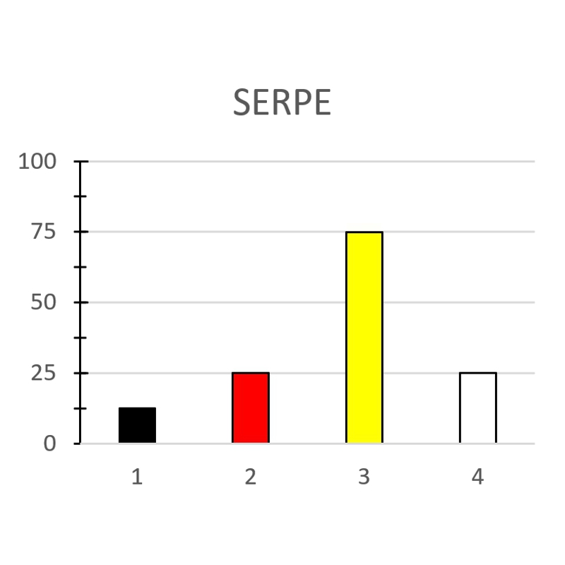 SERPE - immagine 2